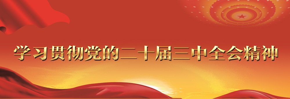 學習貫徹黨的二十屆三中全會精神